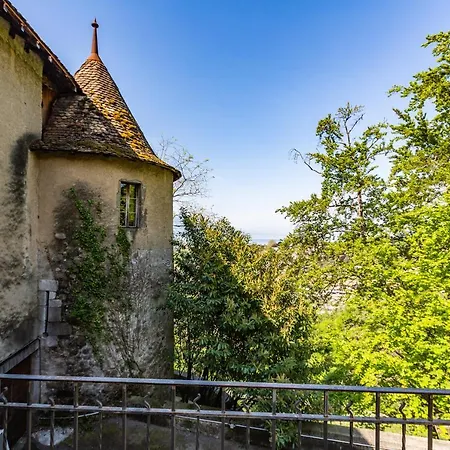 A Castle Spirit In Chateau Du Chatelard